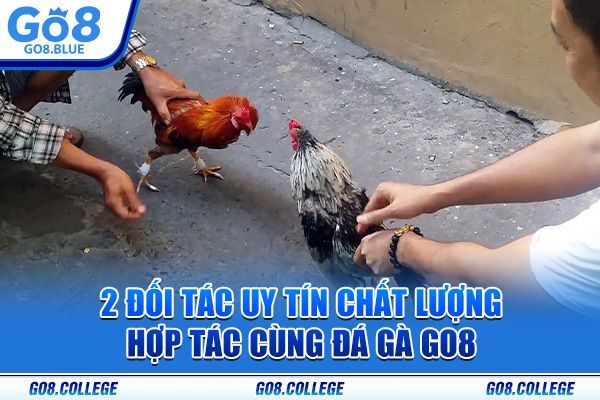 2 đối tác uy tín chất lượng hợp tác cùng đá gà Go8