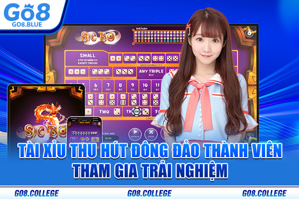 Tài Xỉu thu hút đông đảo thành viên tham gia trải nghiệm